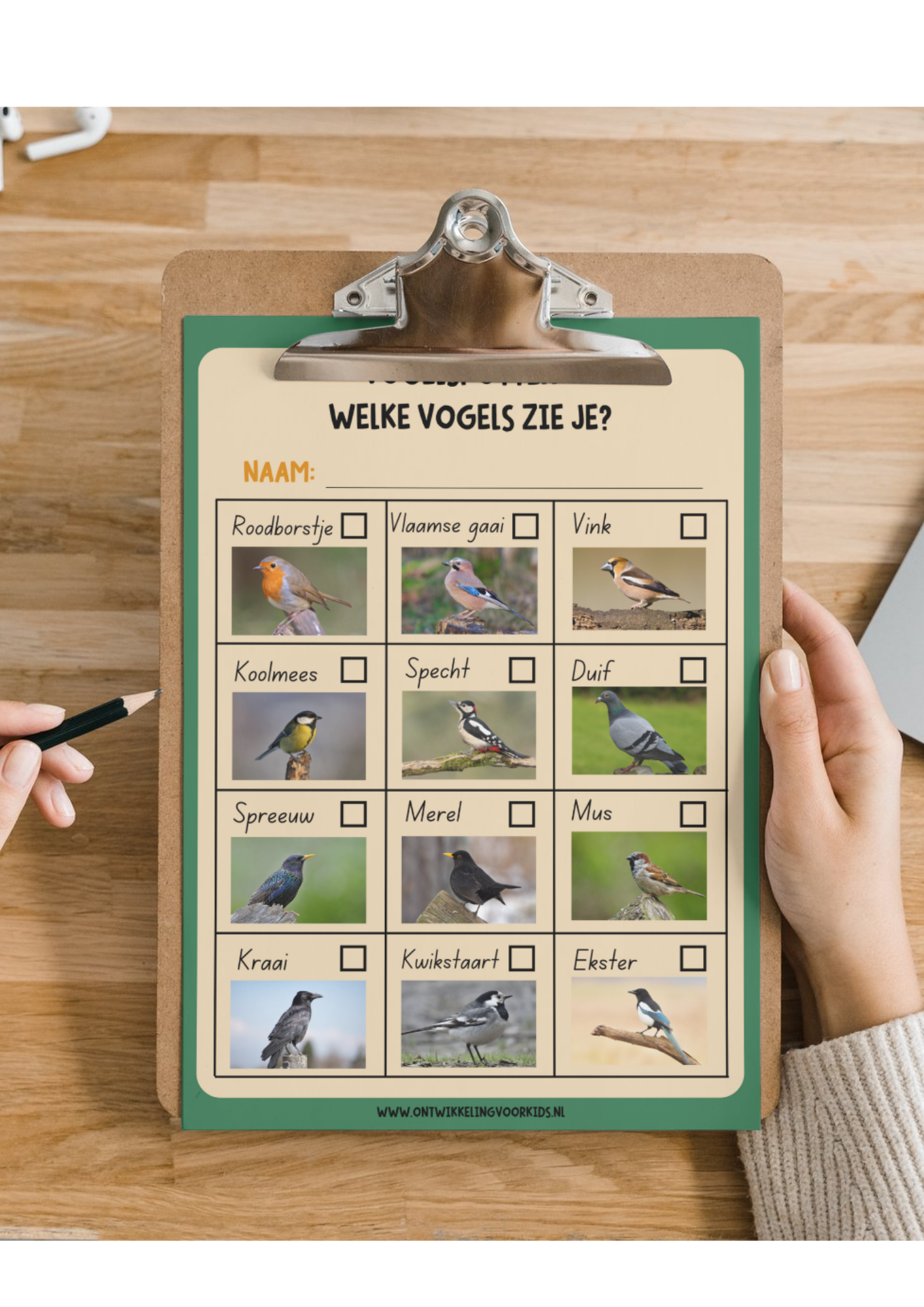 Vogelboek - Speel, leer en ontdek