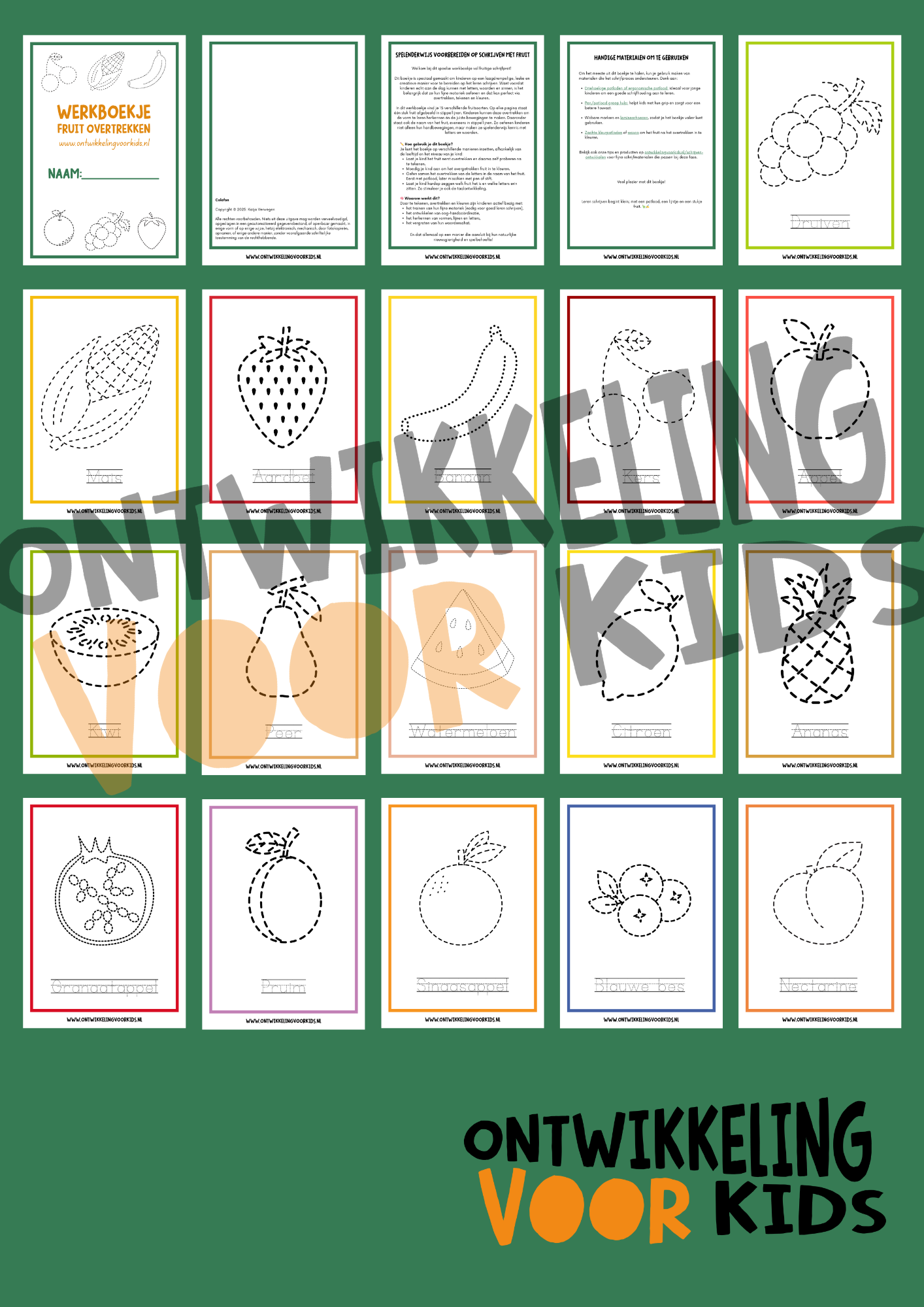 Werkboekje fruit overtrekken