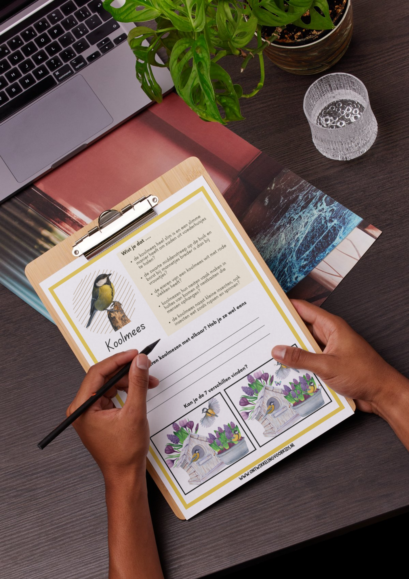 Vogelboek - Speel, leer en ontdek