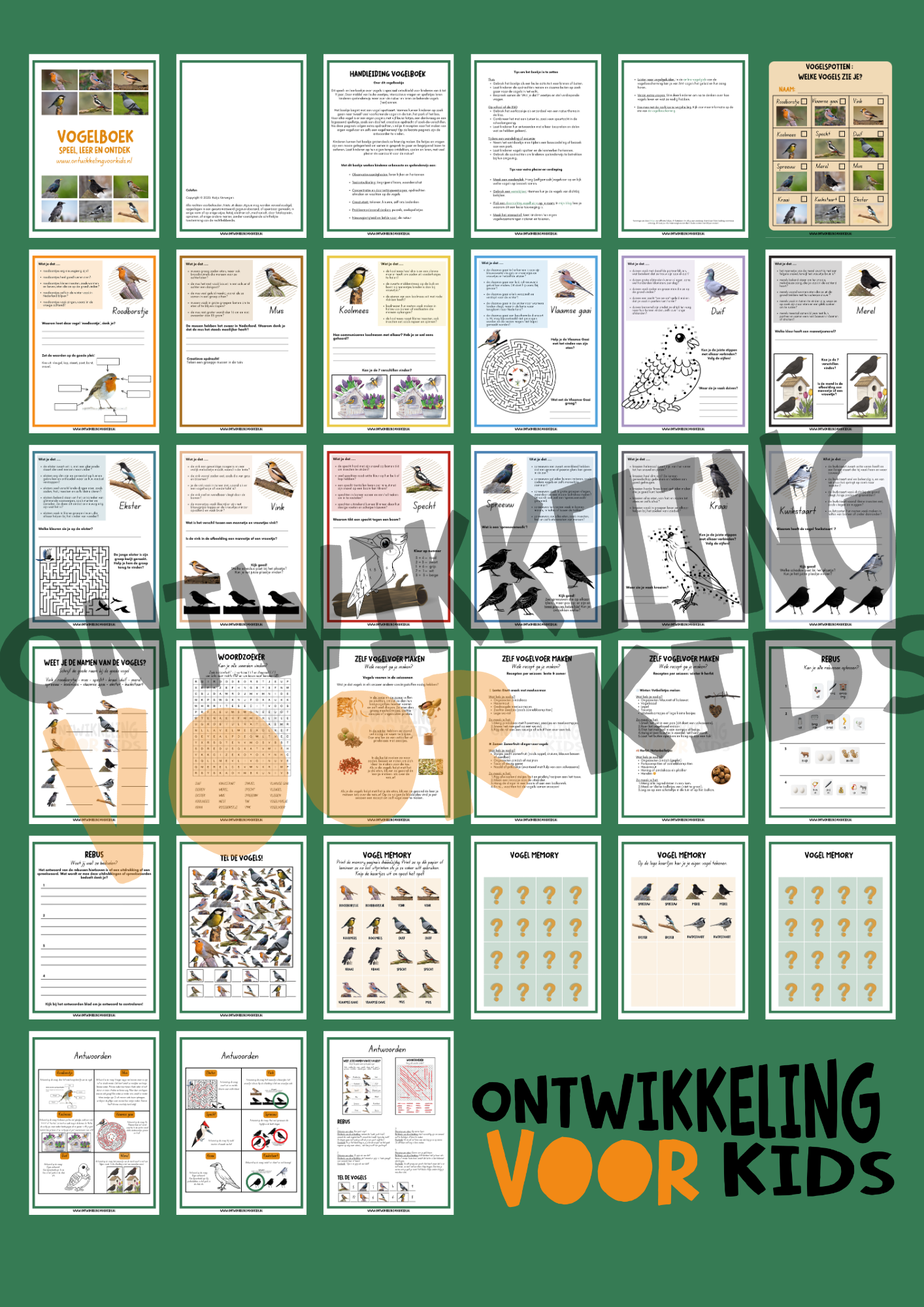 Vogelboek - Speel, leer en ontdek