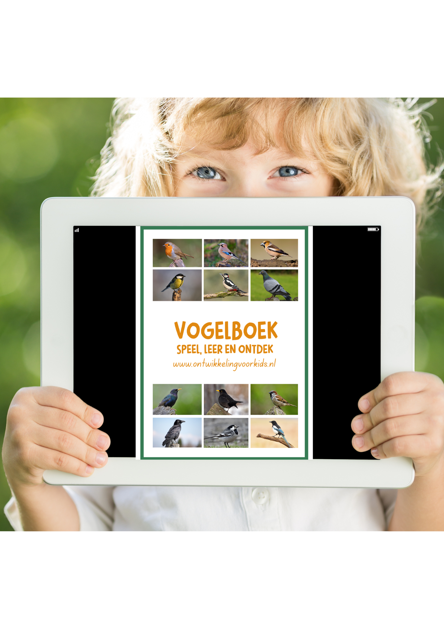 Vogelboek - Speel, leer en ontdek