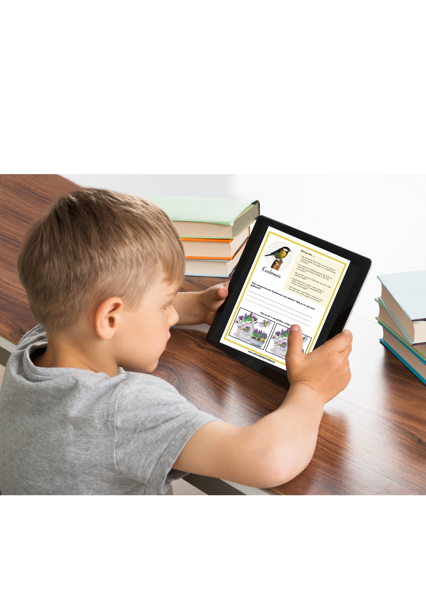 Vogelboek - Speel, leer en ontdek